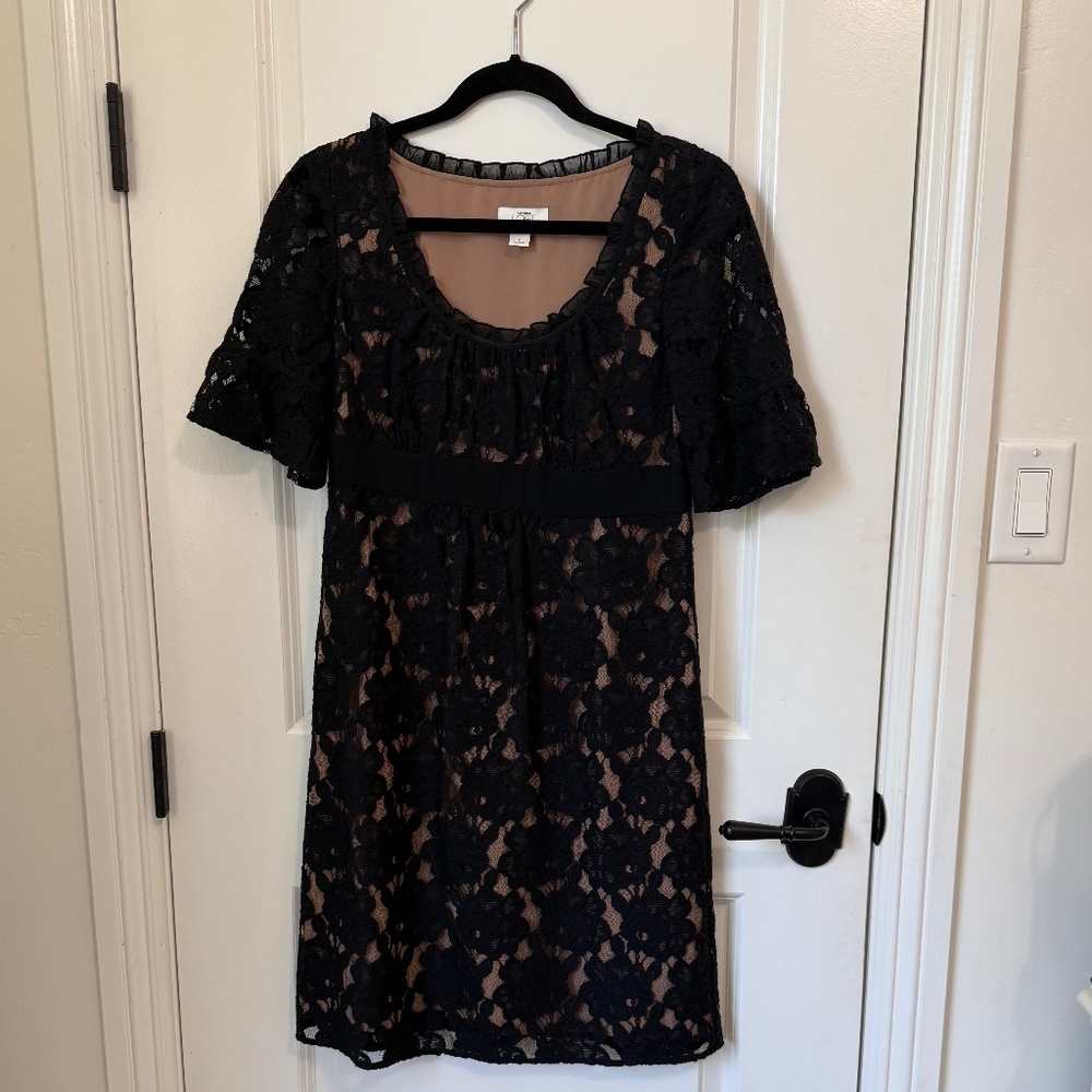 Ann Taylor LOFT- Beautiful Dress-  lace overall on black with beige lining.